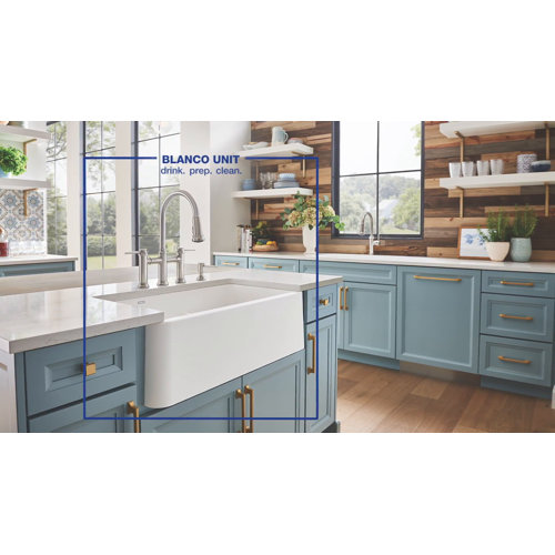 Blanco Empressa Pull Down Dual Spray Bridge Faucet & Reviews Wayfair